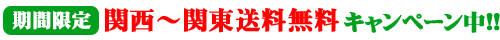 送料無料キャンペーンタイトル