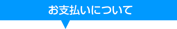 お支払タイトル