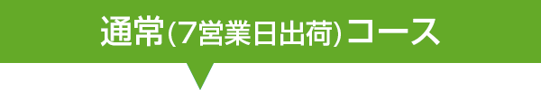 通常コースタイトル