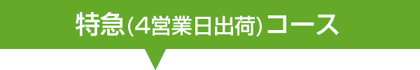 特急コースタイトル