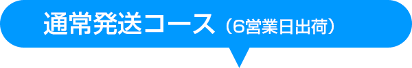 レギュラー通常発送