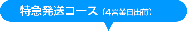 レギュラー特急発送