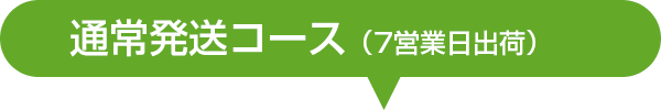 スクエア通常発送