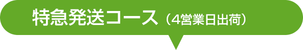 スクエア特急発送